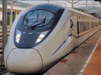 Intestines, pills, frozen foods, prepared products, braised products